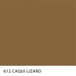 CAQUI LIZARD