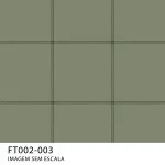 FT